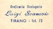 Luigi Svanosio